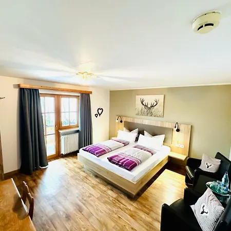 Hotel Bühler 3*