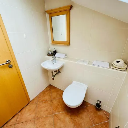 Hotel Bühler 3*